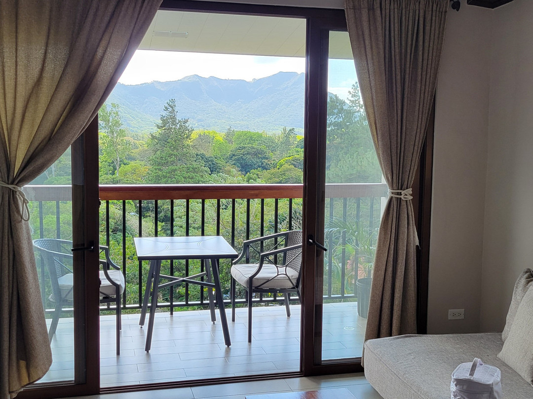 The Golden Frog Inn主图