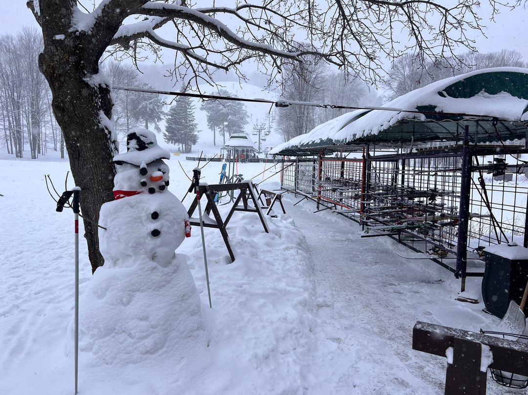 The Highlands at Harbor Springs主图