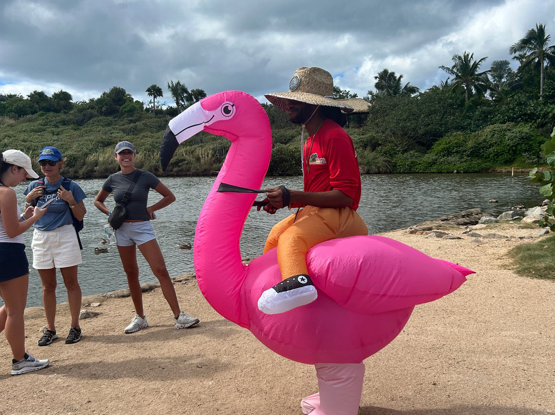 Sea It Clear Tours-North Sound必去景点