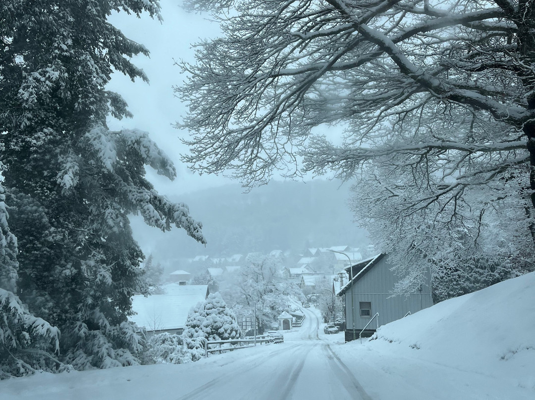 Hotel Paulushof主图