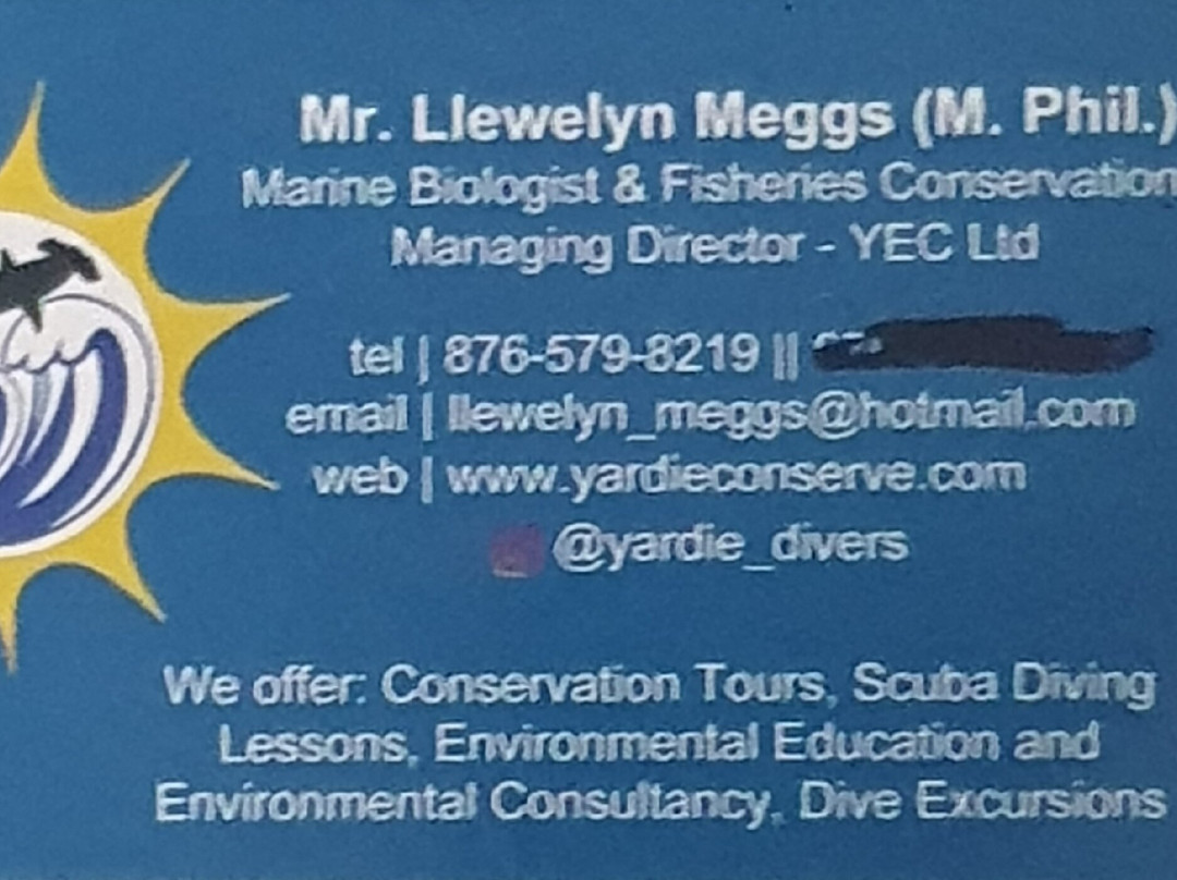 Yardie Divers & WaterSports