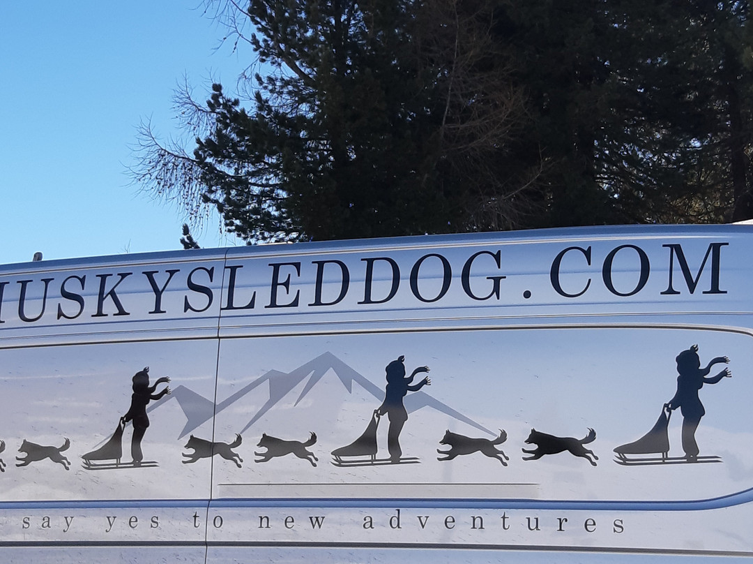 Huskysleddog景点图片