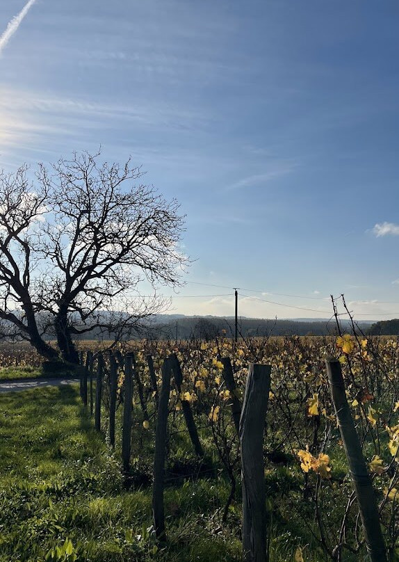 Domaine Grosbois-Panzoult必去景点