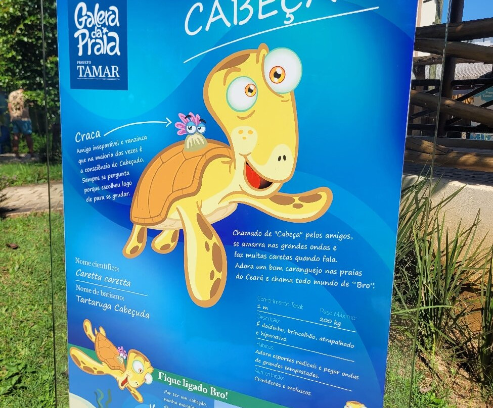 Projeto Tamar-乌巴图巴必去景点