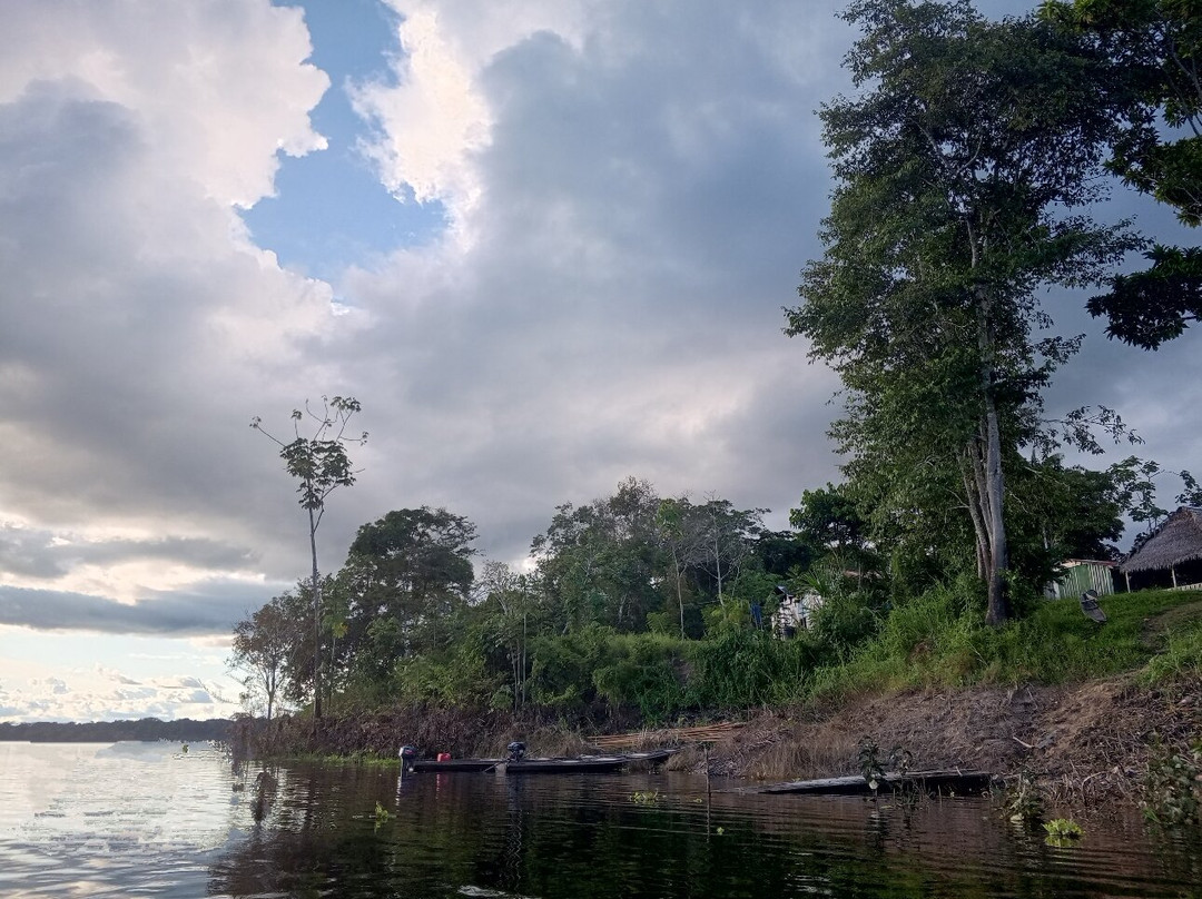 Amazon Selva Viva景点图片