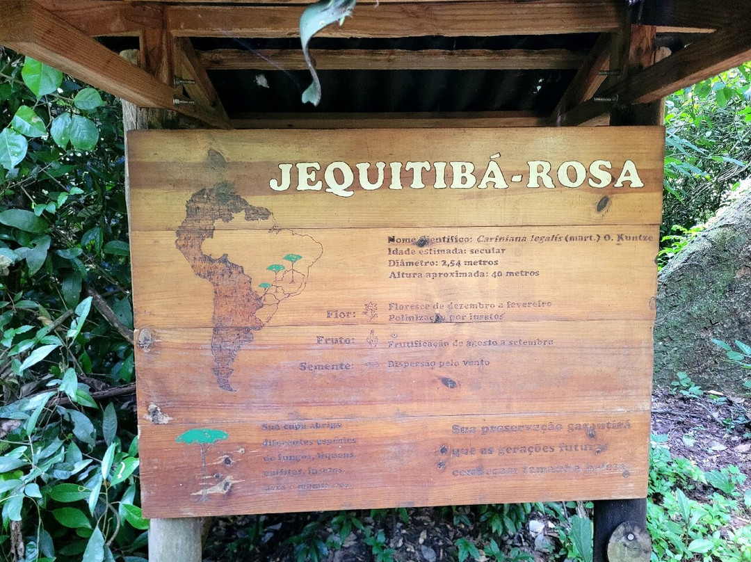 Parque Estadual Porto Ferreira-Porto Ferreira必去景点