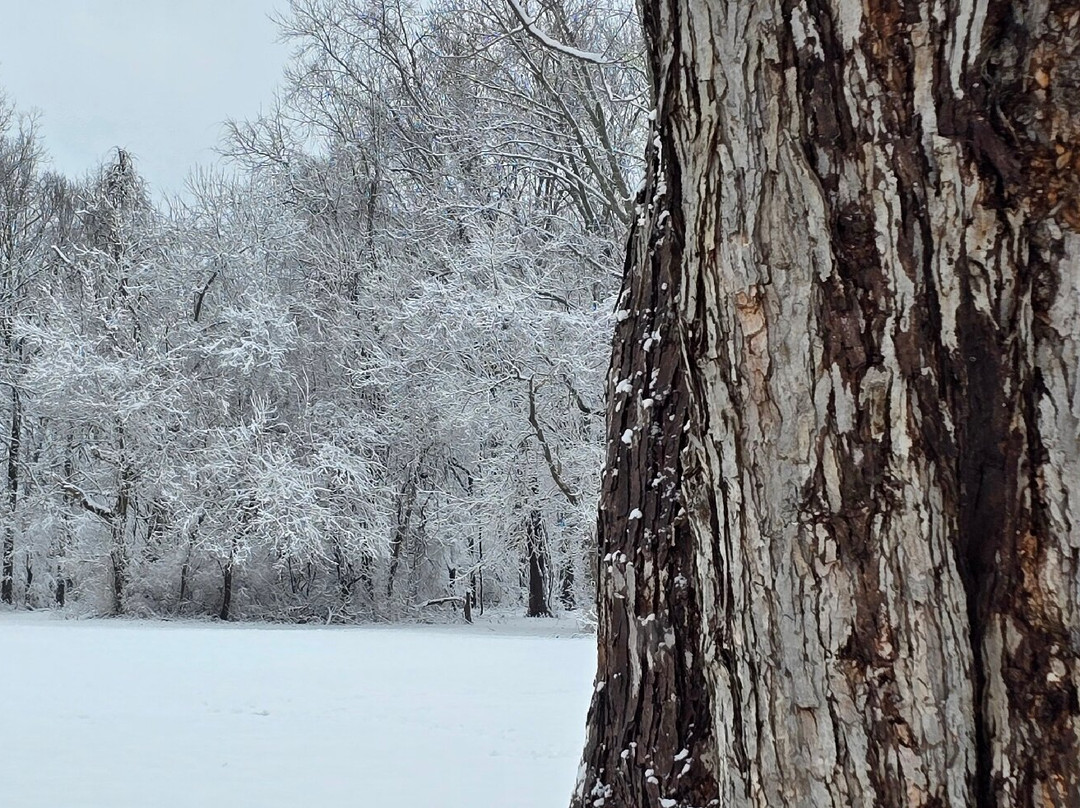 Crains Run Nature Park-Miamisburg必去景点
