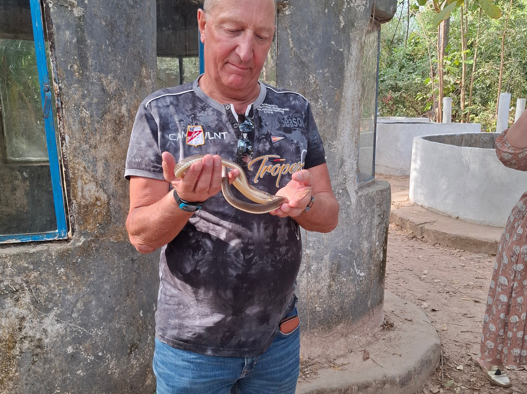 The Gambian Reptiles Farm景点图片