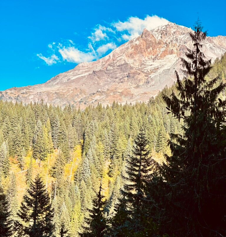 Mount Hood National Forest-克拉克默斯县必去景点