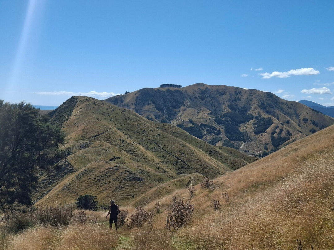 Cable Bay Walkway景点图片