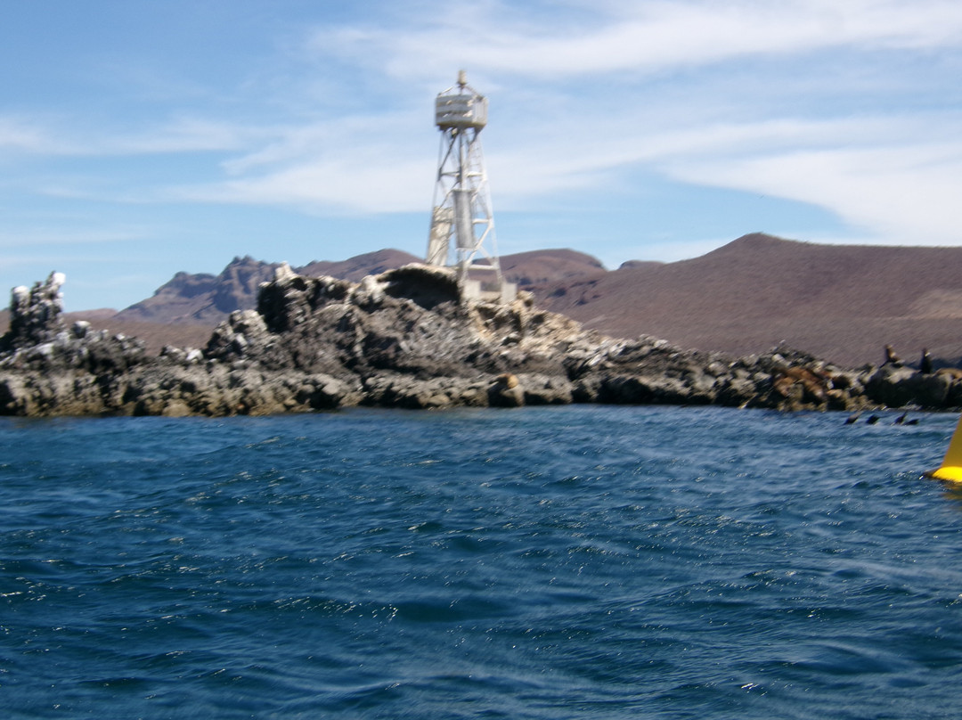 Baja Toto Tours-拉巴斯必去景点