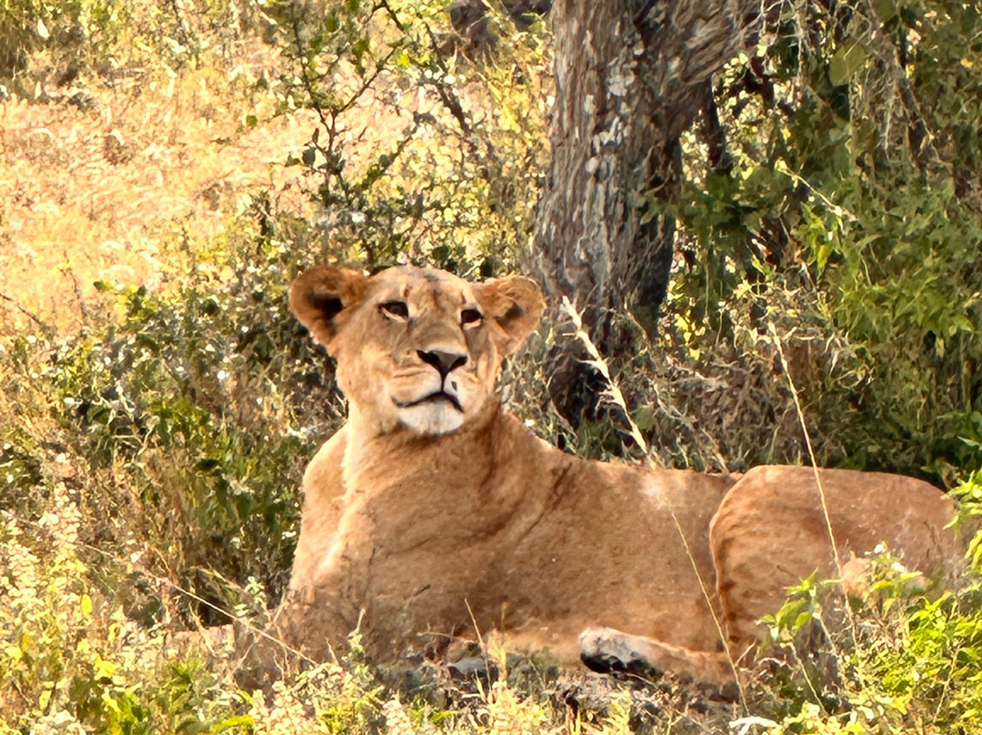 Pega Tours & Travel Agencies Limited-纳库鲁必去景点