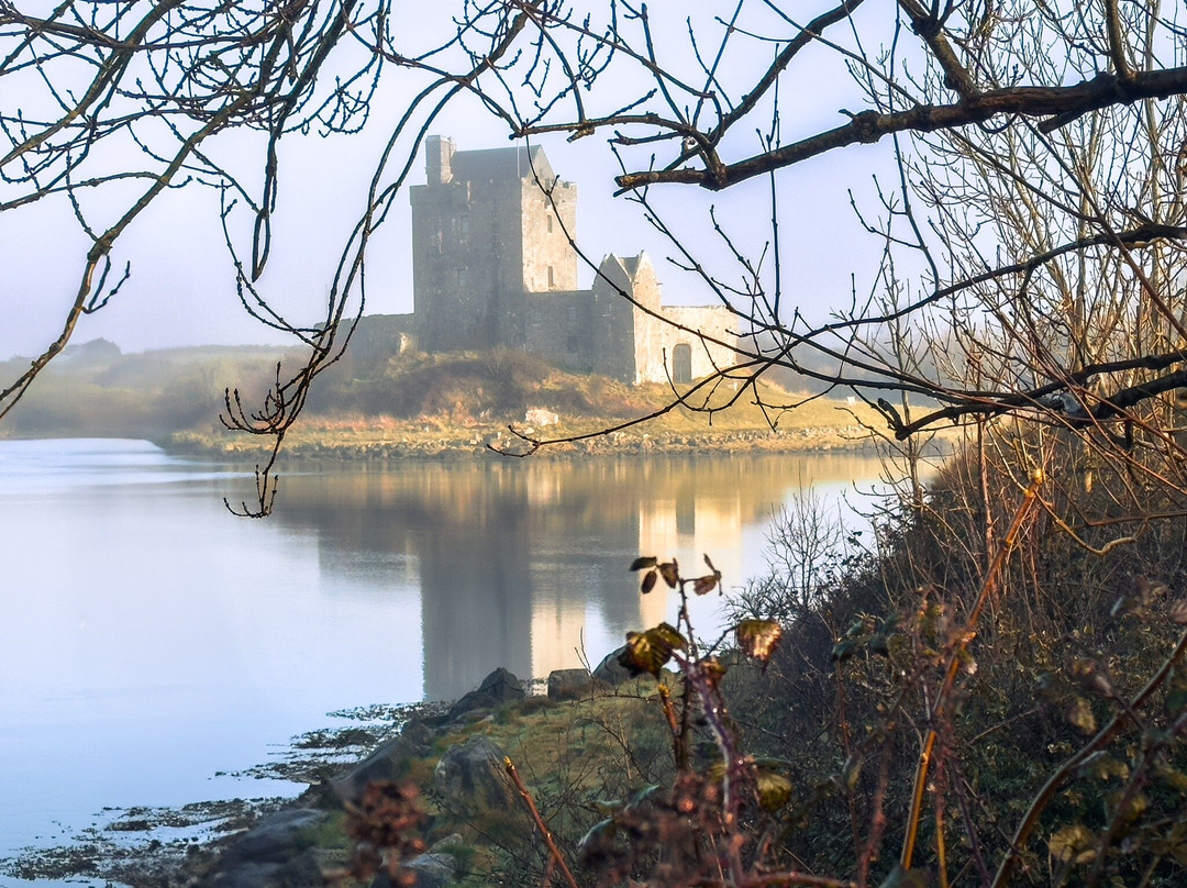Dungaire Castle景点图片