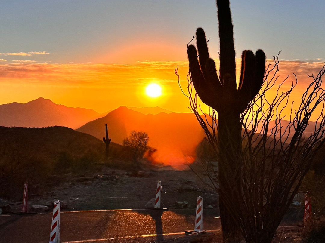 Dobbins Lookout-凤凰城必去景点