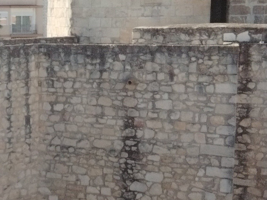 Castillo del Moral-卢塞纳必去景点