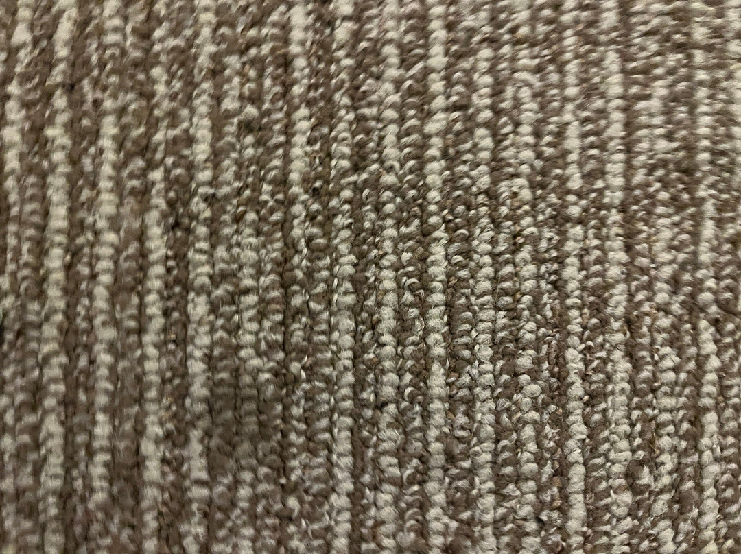 罗厄诺克拉皮兹希尔顿花园旅馆主图