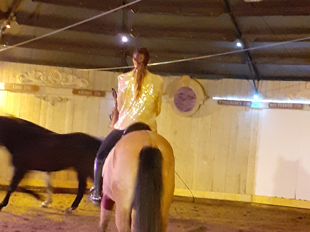 Cabaret Equestre des Sables景点图片