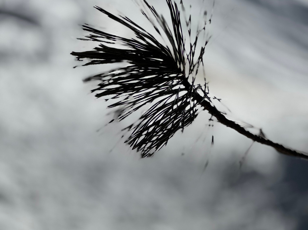 Pensione Amalia主图