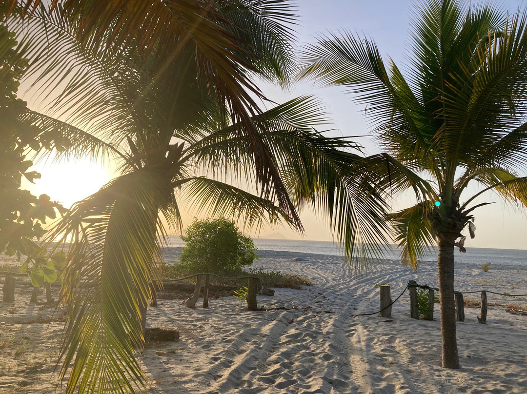 Panama Kite House主图