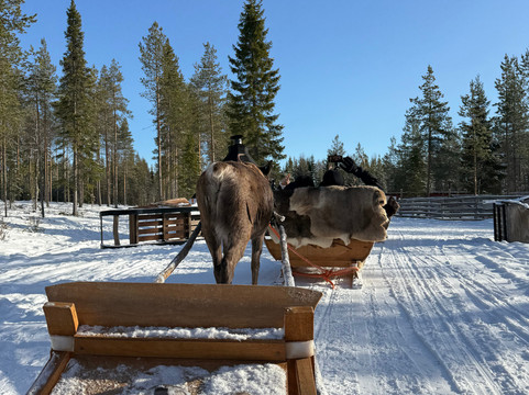 Christmas House Safaris-罗瓦涅米必去景点
