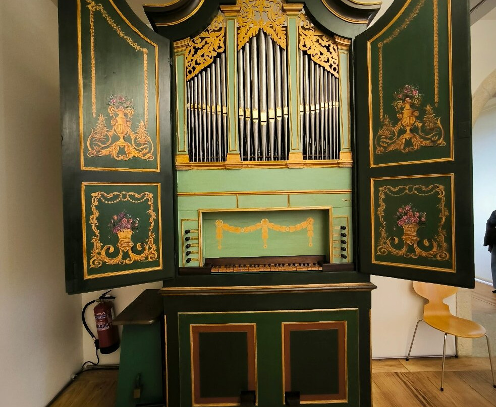 Museu Grão Vasco景点图片