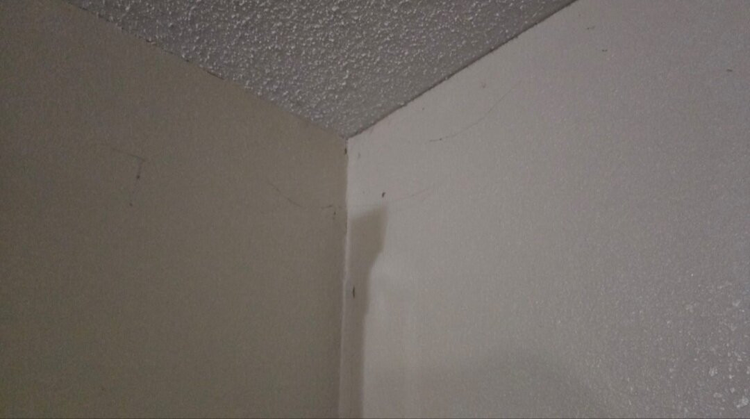 Quality Inn & Suites Florence - Cincinnati South主图