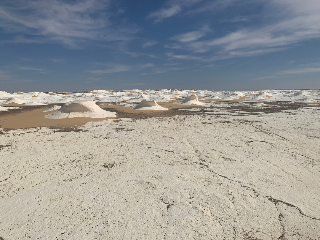Bahariya Oasis Guide-Bawiti必去景点