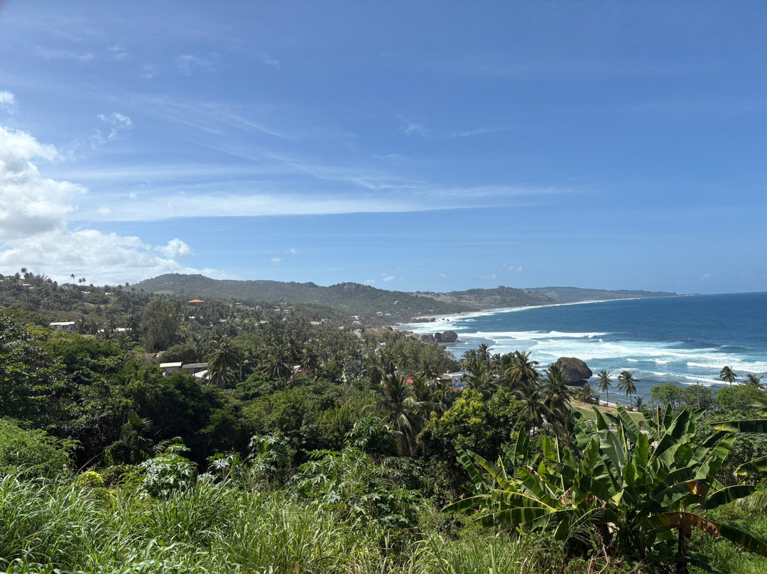 The Agard Experience-布里奇顿必去景点