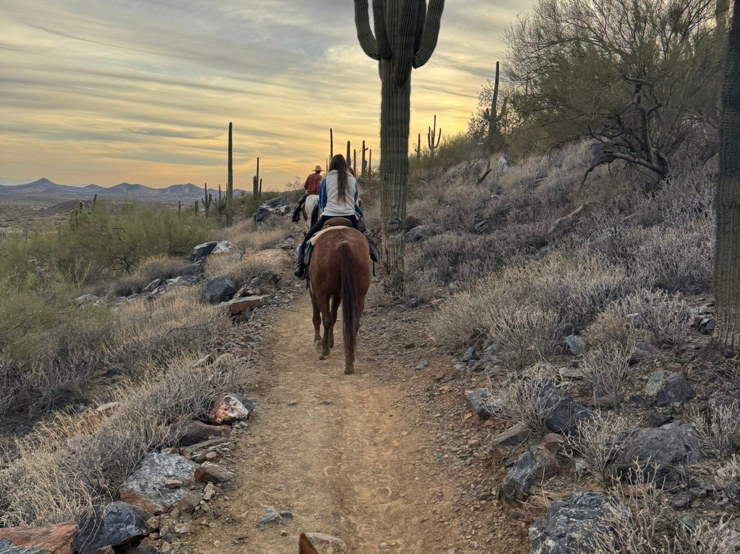 Cave Creek Trail Rides-洞溪必去景点