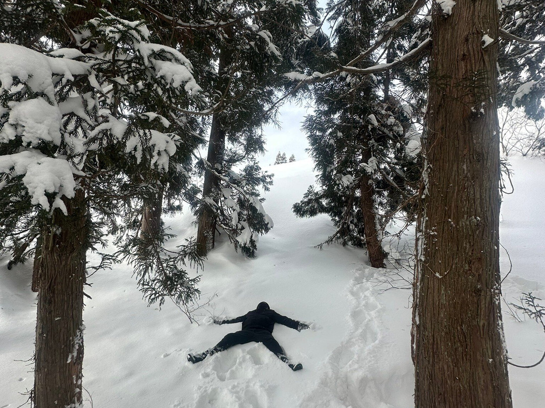 汤泽滑雪场景点图片