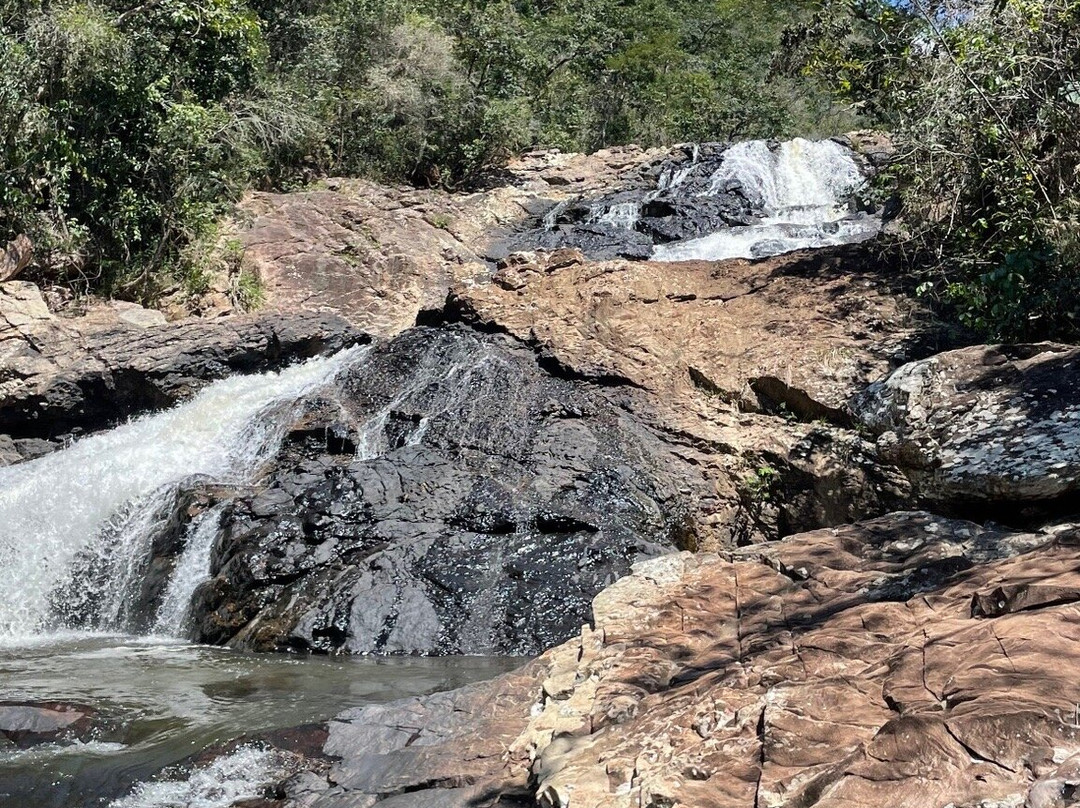 Parque Estadual Mata do Limoeiro景点图片