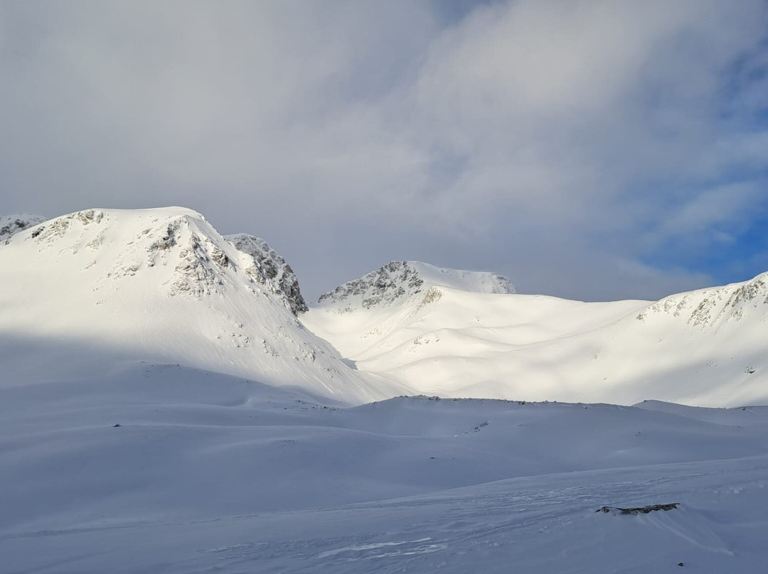 Arctic Cruise In Norway AS - Day Tours-特罗姆瑟必去景点
