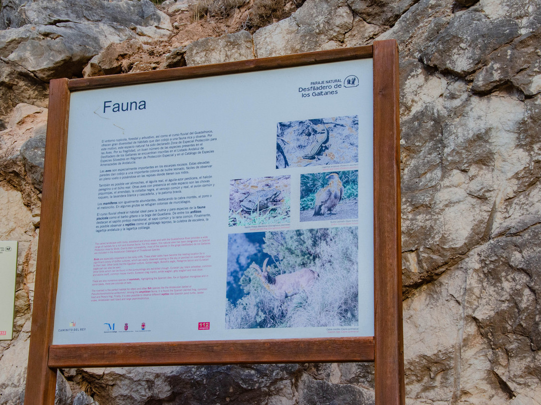 Rocas Llanas Viewpoint景点图片