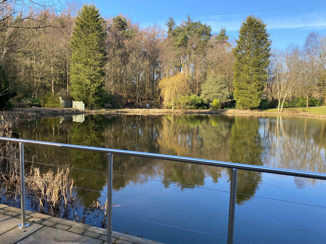 Moddershall Oaks Country Spa Retreat主图