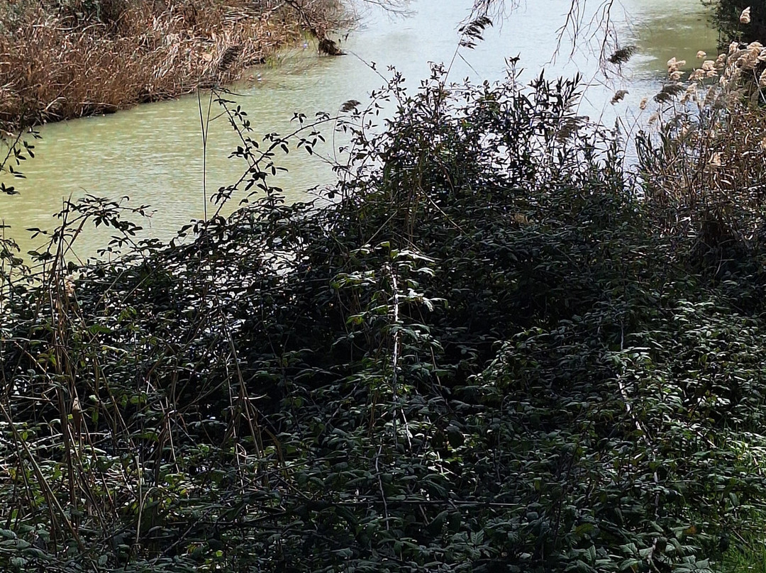 Castillo de Cofrentes-Cofrentes必去景点