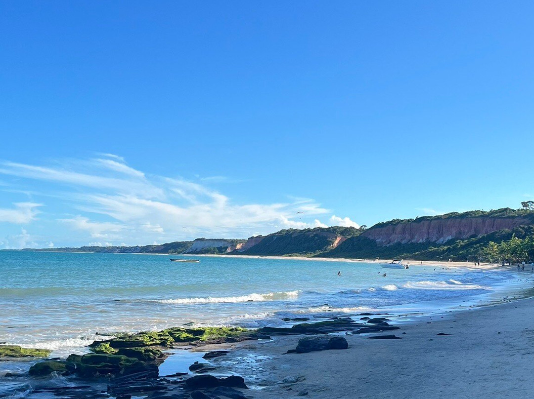 Pitinga Beach-Arraial d'Ajuda必去景点
