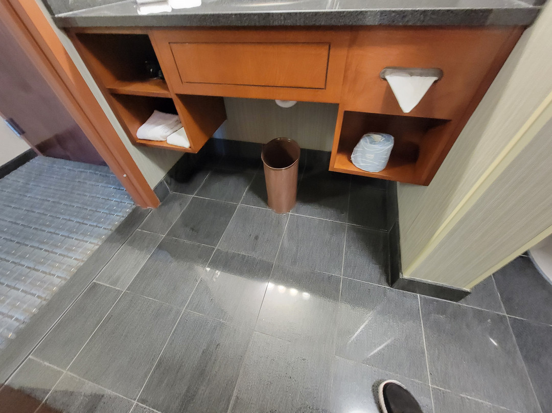 Drury Inn & Suites Gainesville主图