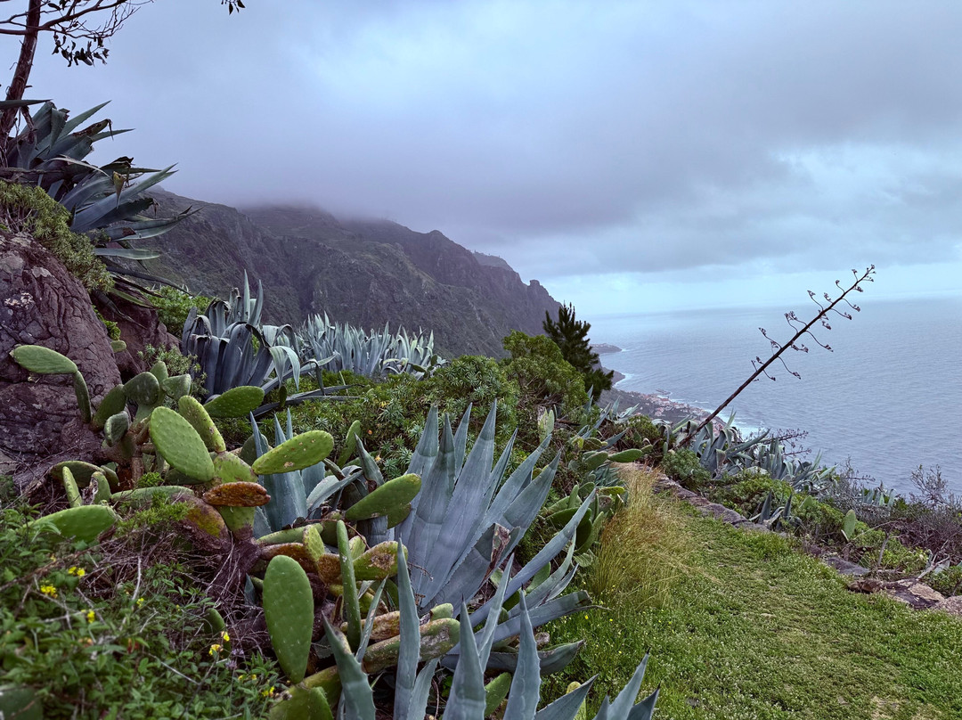 Yeotown Madeira Health Retreat主图