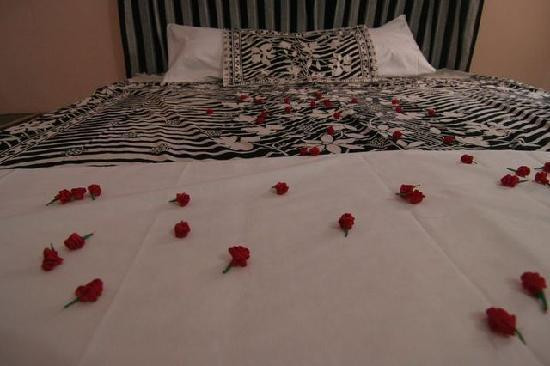 Full Moon Guesthouse主图