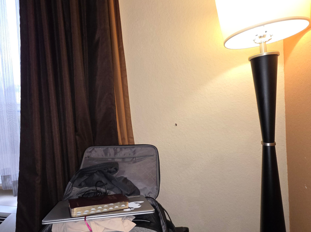 Best Western Plus Flagler Beach Area Inn & Suites主图