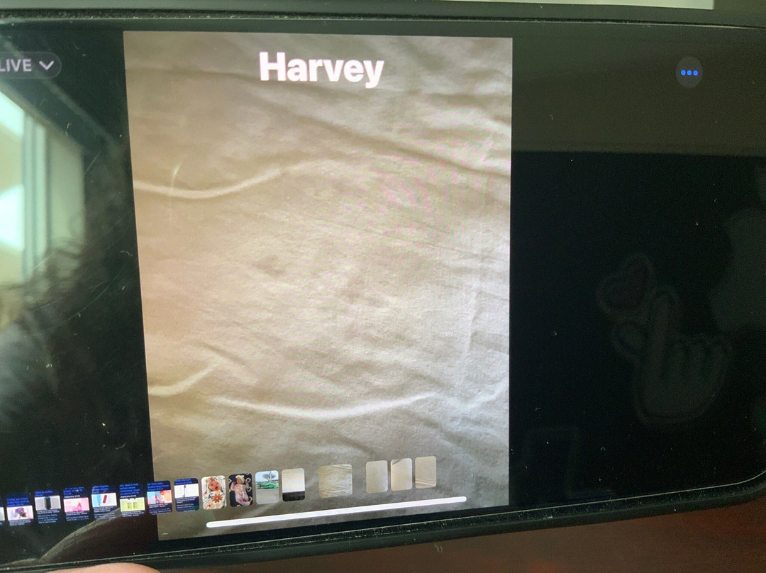 TownePlace Suites by Marriott New Orleans Harvey/West Bank主图