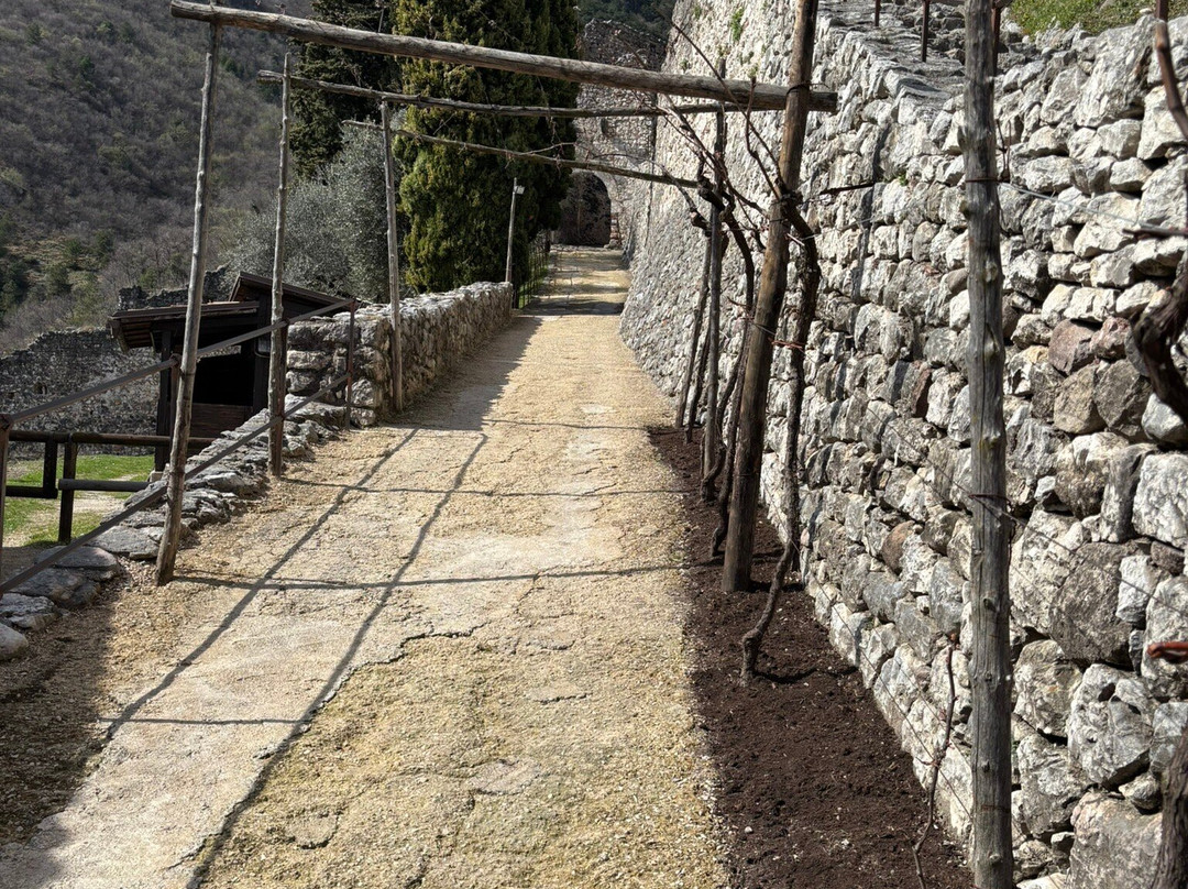 FAI - Castello Di Avio景点图片
