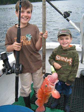 Old Skipper Bed and Breakfast主图