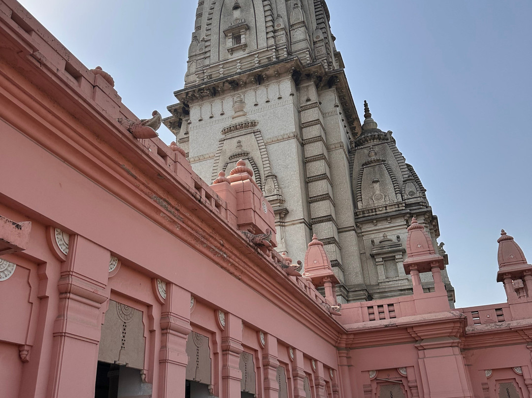 New Vishwanath Temple景点图片