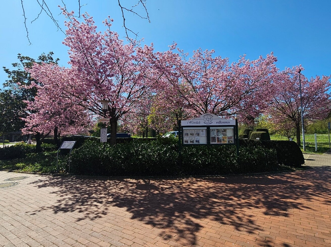 Café im Park