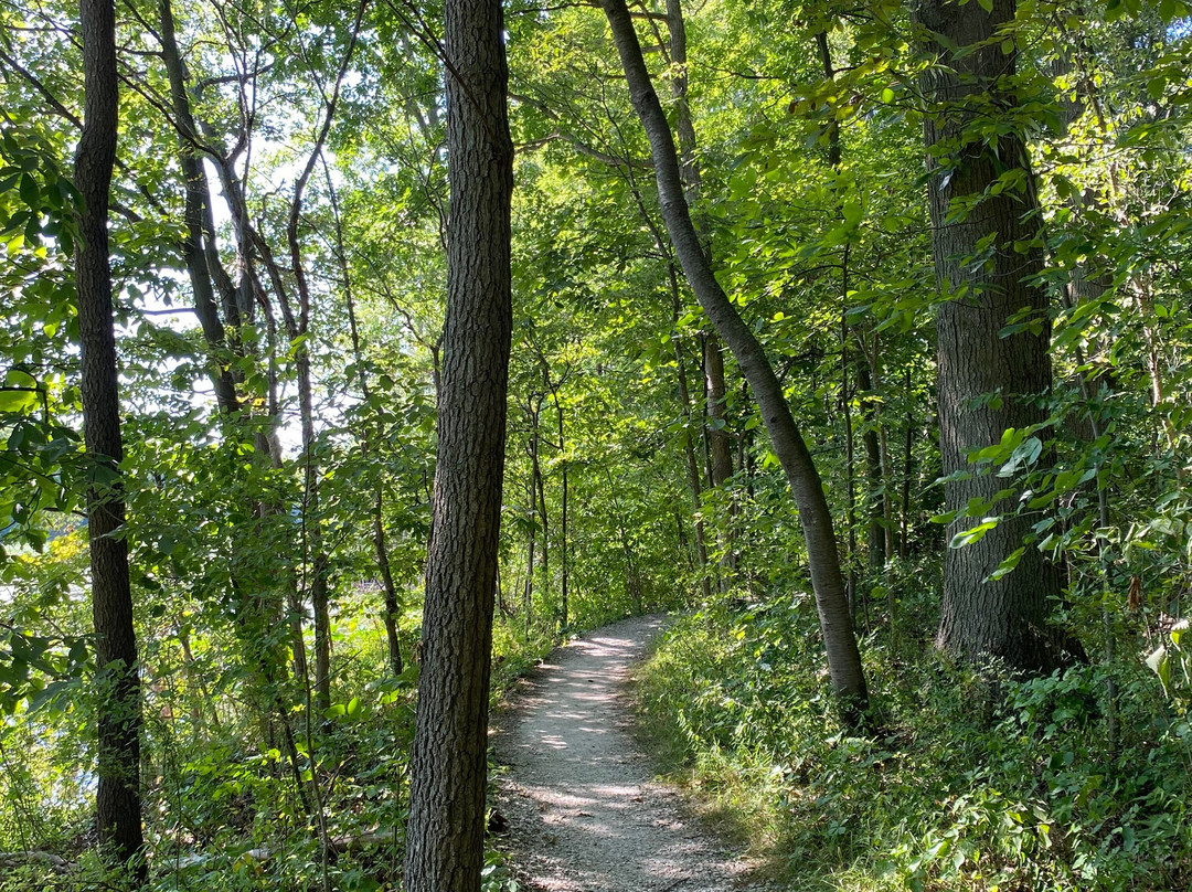 Old Woman Creek State Nature Preserve景点图片