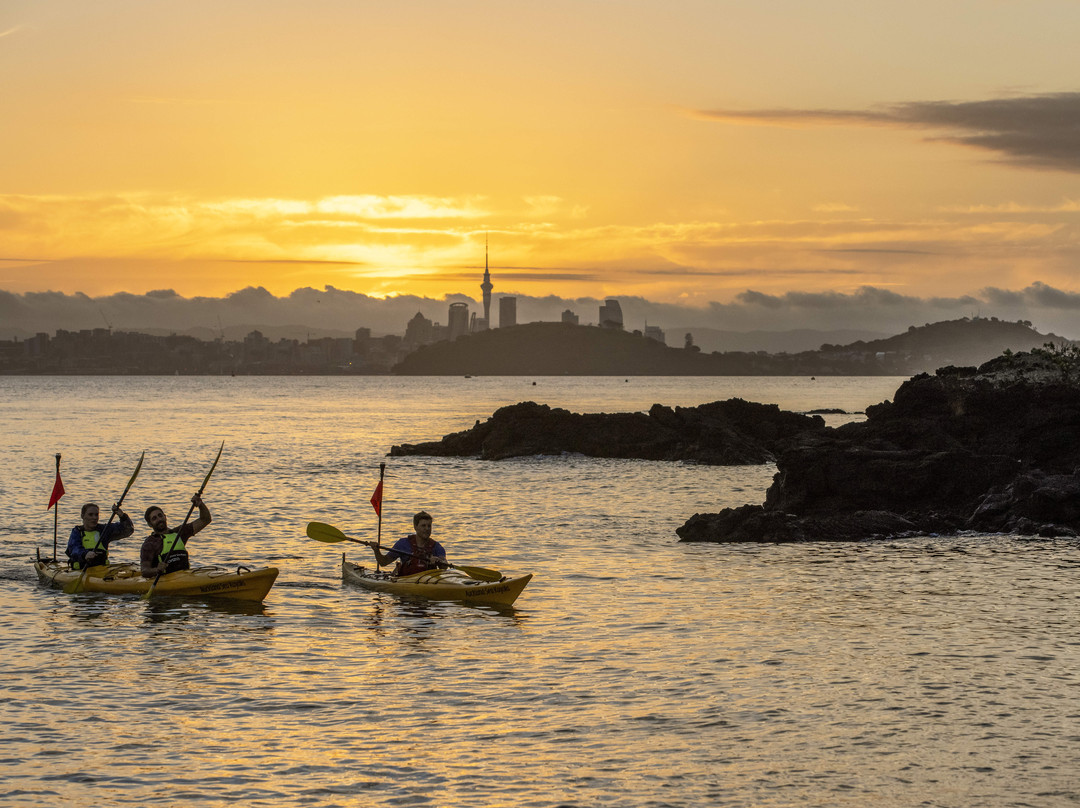 Auckland Sea Kayaks景点图片