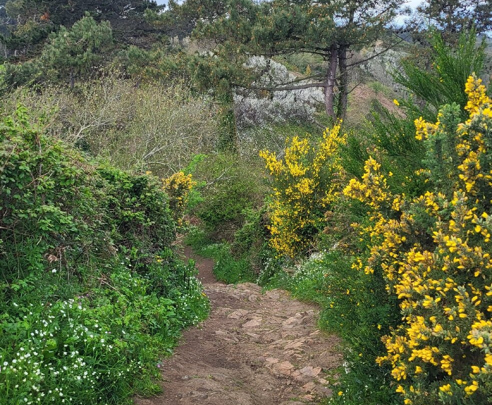 Pointe de Plouha-Plouha必去景点
