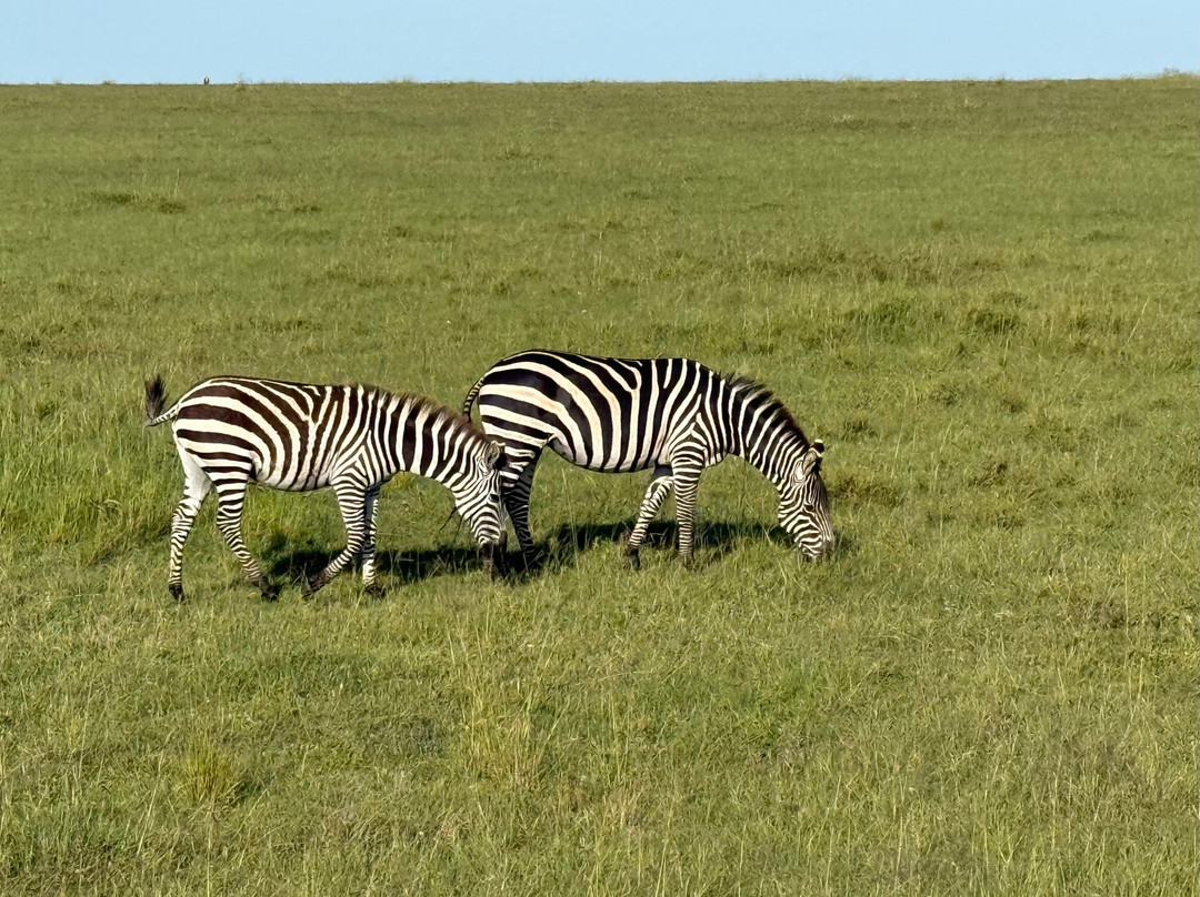 Elohim Tours & Travel-纳库鲁必去景点