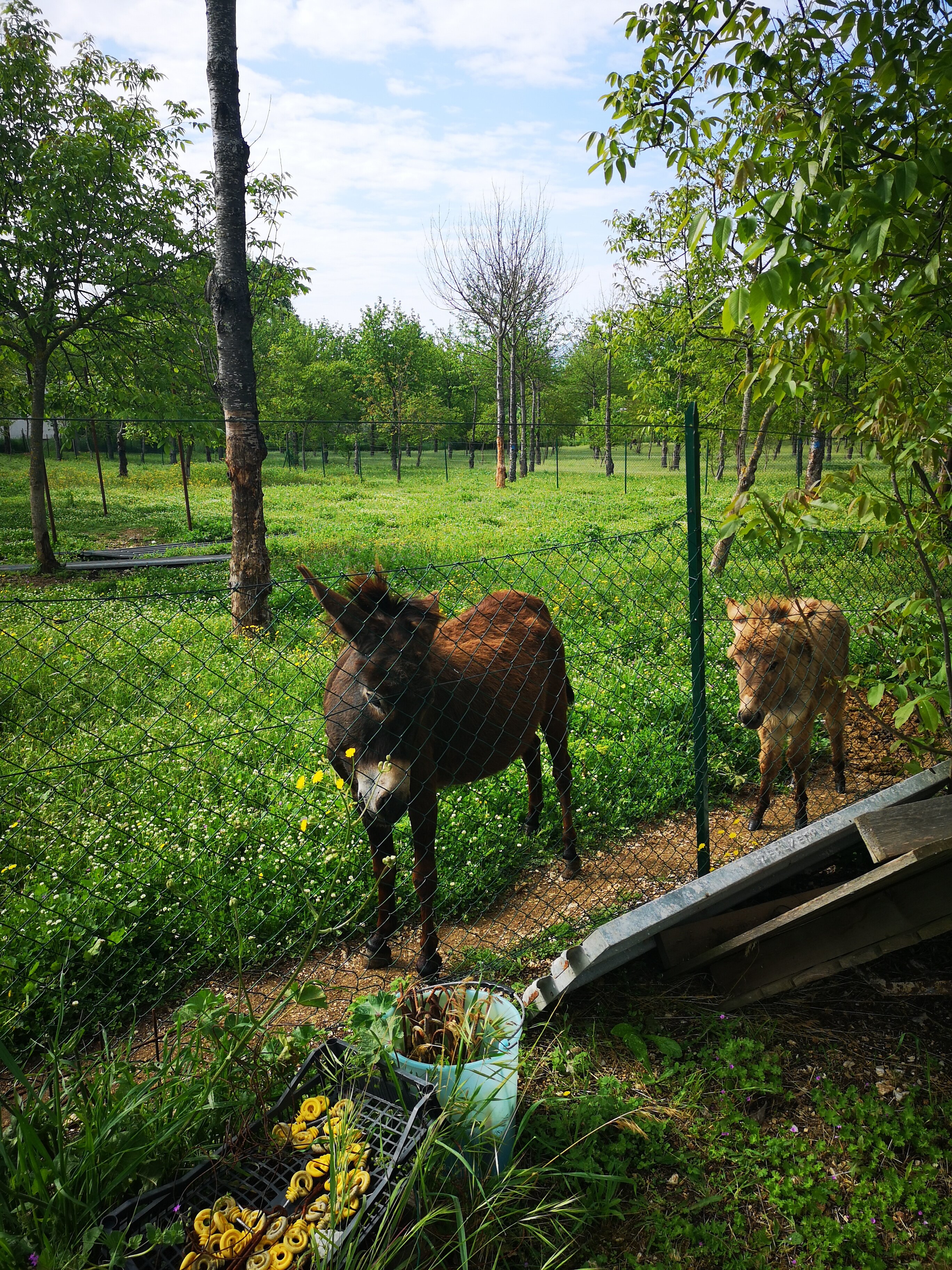Agriturismo Il Giardino dei Ciliegi-官方